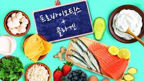 한국인에게 잘 맞는 김치 유산균… 콜라겐 더해 일석이조