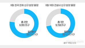 6월 10대 건설사 1만 9159가구 공급… 전년 대비 2.3배