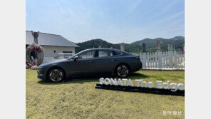 스포츠카 느낌 물씬… 기본기 충실한 쏘나타 디 엣지 