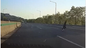 “이러지마세요” 왕복 8차로선 아이가, 고속도로선 성인이 무단횡단