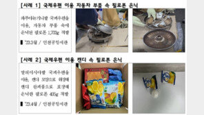 1~4월 마약밀수 적발 213㎏ ‘사상최대’…클럽용 마약·합성대마 폭증