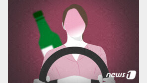 ‘서울→부천’ 10km 역주행 벤츠…만취 30대女, 분리대 들이박고 멈췄다
