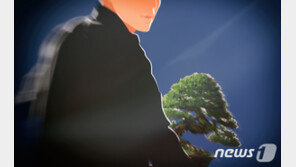 “화분이 예뻐서”…야외에 놓인 화분 상습절도 50대 현행범 체포