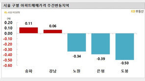 이번 주 서울 아파트값 하락폭 커져…강남·송파는 ‘상승’