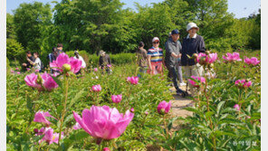 “화창한 봄날… 꽃길만 걸어요”