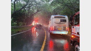 커브돌다 빗길 미끄러져…창원서 승용차·시내버스 충돌 1명 사망