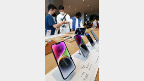 애플 ‘부품 독립’에도 한국산 디스플레이 넘사벽…관련주 급등