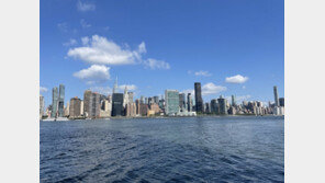 100만개 고층빌딩 무게에 눌려… 가라앉는 뉴욕 