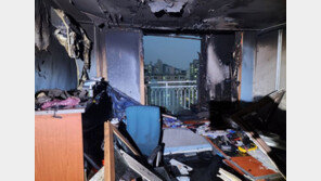 안양 24층짜리 아파트서 불…김치냉장고 하부서 발생 추정