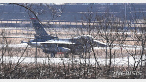 우크라가 ‘F-16 전투기’ 간절히 바라는 이유는?…“안성맞춤”