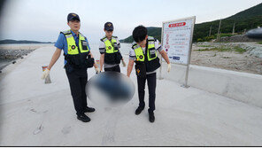 여수·고흥 해안서 해양보호생물 상괭이 사체 2구 발견…올해 8구