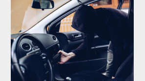 “잘못했다”며 풀려난 뒤 3일만에 또 차량 턴 10대들