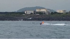 보호종 남방큰돌고래 코앞에서 위협…제트스키족 6명 적발 