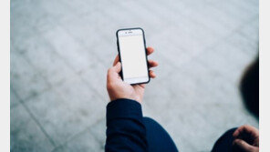 개인정보 건당 1000원 판매…대부중개업체 대거 적발