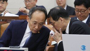 김태효 “한중 전략대화 - 한중일 정상회담 계획”