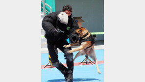 “테러범, 꼼짝마” 