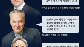 美의회 “韓반도체, 中판매 늘리면 규제” 압박