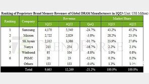 반도체 침체 속 美업체는 수혜?…마이크론, SK하이닉스 제치고 2위
