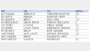 “녹음 짙은 대구에 가족과 가로수길 거닐러오세요”