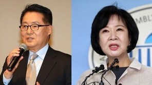 박지원 “尹이 날 정치로 내몰아” vs 손혜원 “추접스런 핑계”