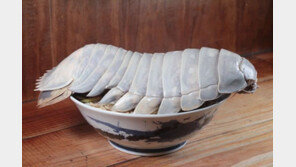 비주얼 깡패 ‘바다 바퀴벌레’ 라멘…한그릇 6만원, 무슨 맛이길래