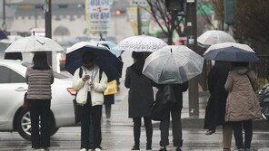 석가탄신일 연휴에 전국적 비… 태풍 ‘마와르’ 영향 없을 듯