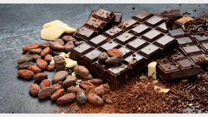 초콜릿 원료 ‘○○○’…6가지 건강 효능