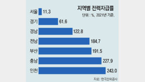 “지역별로 전기료 차등… 서울 오를때 부산 내릴수도”