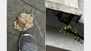 “길가다 횡사할 뻔”…학교 외벽서 떨어진 콘크리트 덩어리