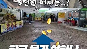 “어묵 한 그릇 만원, 바비큐 4만원”…日유튜버, 韓지역축제 물가에 ‘깜짝’