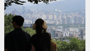 외국인 부동산, 주택은 중국인 토지는 미국인