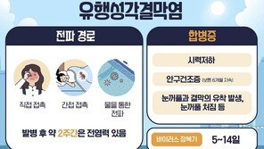 “손만 잘 씻어도 막을수 있는데”…유행성 결막염 주의보