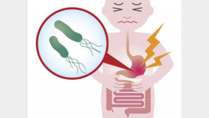 헬리코박터균 없애면, 세계 사망원인 1위인 ‘이것’도 막는다