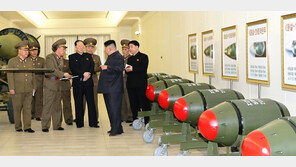 美하원 정보위장 “北, 핵탄두 소형화 성공… 억지력 개념 죽었다” 