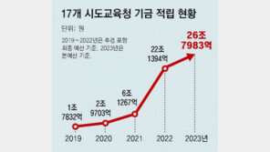 [단독]“시도교육청 교부금도 100억이상 줄줄 샜다” 