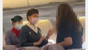 “일본어 몰라?…돼지 같은 승무원” 日여성, 대만 항공기서 난동