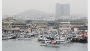 충북대 약대 교수 “후쿠시마 오염수 희석해 마시겠다”