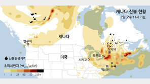 기후변화로 고온건조… 캐나다서만 산불 하루 400여건