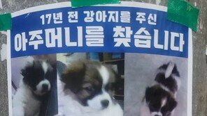 “16년 전 강아지 주신 아주머니 찾아요”…절절한 사연