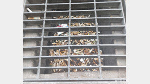 [단독]강남 수해지역 빗물받이 20곳중 11곳에 담배꽁초 가득 