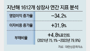 국내기업 작년 수익성 악화… 영업익 34%↓ 이자비용 31%↑