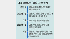 ‘삼성에 갑질’ 美 브로드컴 제재할 듯… 공정위 “셀프시정안, 피해보상 부족”