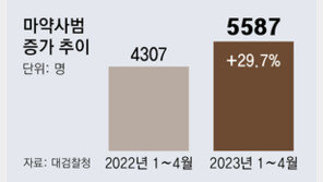 마약 특수본 “초범도 상습 투약땐 구속 수사”