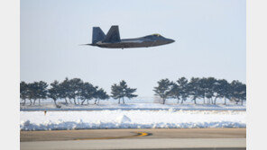 미, “러 전투기 위협 비행” 중동에 최신예 F-22 배치