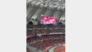 ‘야구 도시’ 부산, 4년 만의 축구대표팀 A매치에 붉은 물결로 들썩