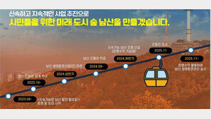 명동역~남산 정상 잇는 곤돌라 생긴다…2025년 도입