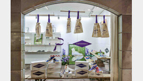 한화호텔앤드리조트, 캐치볼과 협업… 더 플라자에 팝업스토어 연다