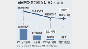 삼성전자 “하반기 경제상황 녹록잖아… 폴더블폰으로 위기 탈출”