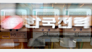 3분기 전기료 인상여부 오늘 발표 전망…물가 부담에 ‘동결’ 유력