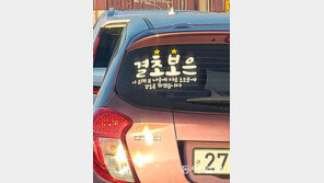 ‘3시간째 직진 중’ 韓에 유독 많은 ‘초보 스티커’…외국인들 생각은[시차적응]